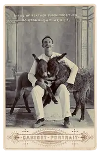 Lachender Mann mit zwei Eseln